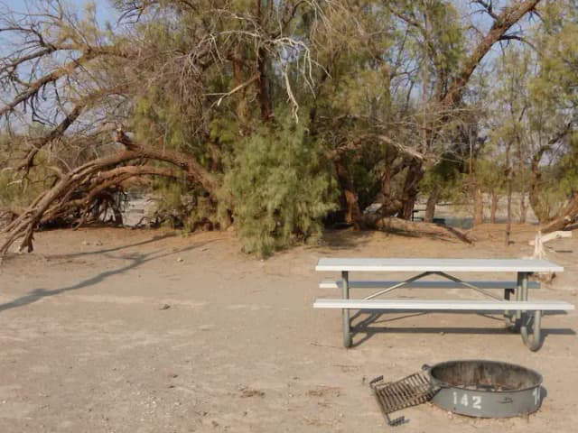 Tent only walk in site #142.  No campervans, RV's, or pop up tents.  One firepit with grate and one picnic table.  No utilities.