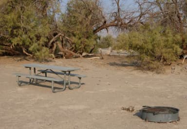 Tent only walk in site #143.  No campervans, RV's, or pop up tents.  One firepit with grate and one picnic table.  No utilities.