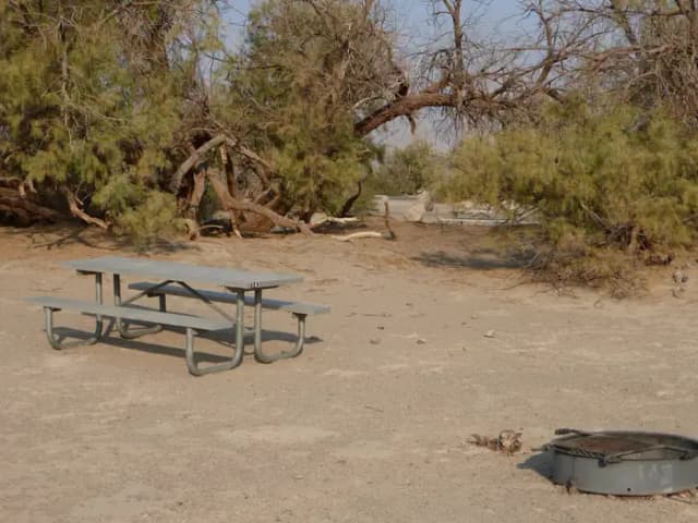 Tent only walk in site #143.  No campervans, RV's, or pop up tents.  One firepit with grate and one picnic table.  No utilities.