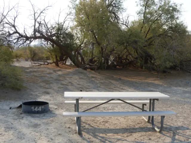 Tent only walk in site #144.  No campervans, RV's, or pop up tents.  One firepit with grate and one picnic table.  No utilities.