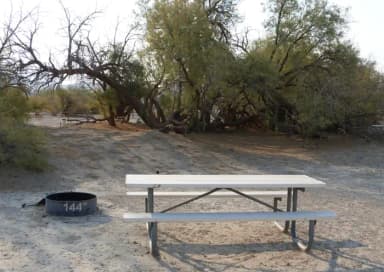 Tent only walk in site #144.  No campervans, RV's, or pop up tents.  One firepit with grate and one picnic table.  No utilities.