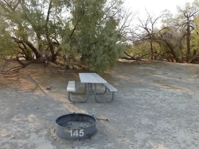 Tent only walk in site #145.  No campervans, RV's, or pop up tents.  One firepit with grate and one picnic table.  No utilities.