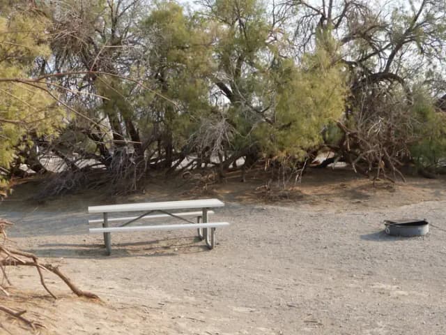 Tent only walk in site #146.  No campervans, RV's, or pop up tents.  One firepit with grate and one picnic table.  No utilities.