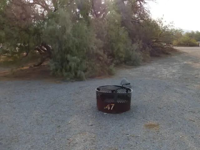 ADA accessible tent only walk in site #147.  No campervans, RV's, or pop up tents.  One accessible firepit with grate and picnic table.  No utilities.
