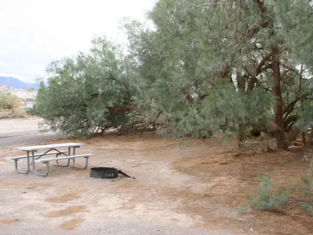 Tent only walk in site #148.  No campervans, RV's, or pop up tents.  One firepit with grate and one picnic table.  No utilities.