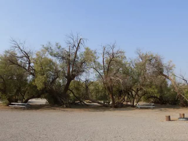 Furnace Creek Campground tent only group site #5.