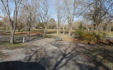 Site 131 Defeated Creek Campground