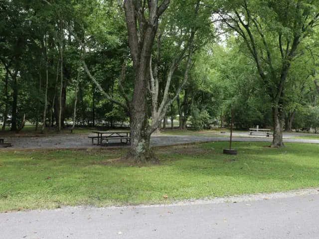 Site 132 Defeated Creek Campground