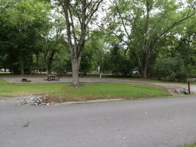 Loop HONE · Site 133 at Defeated Creek Park
