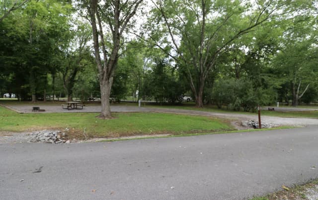 Site 133 Defeated Creek Campground