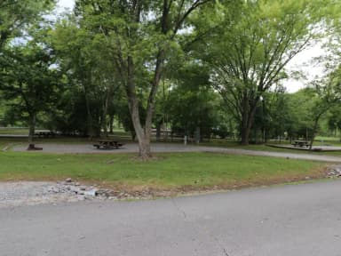 Site 136 Defeated Creek Campground
