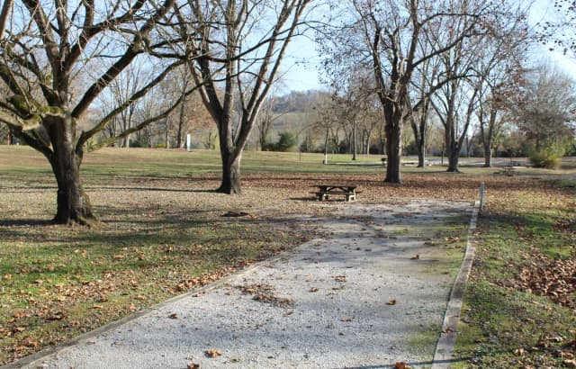 Site 137 Defeated Creek Campground