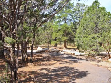 Picnic table, fire pit, and parking spot, Mather Campground