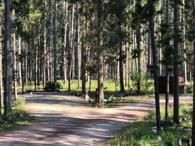 campsite in wooded area