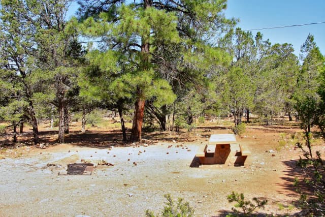 Picnic table, fire pit, and parking spot, Mather Campground