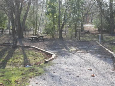 Site 138 Defeated Creek Campground