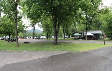 Site 142 Defeated Creek Campground
