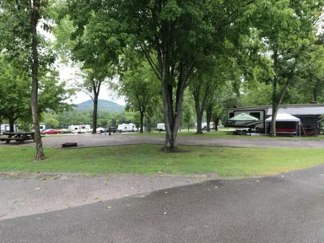 Site 142 Defeated Creek Campground