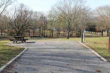 Site 143 Defeated Creek Campground