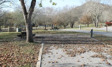 Site 145 Defeated Creek Campground