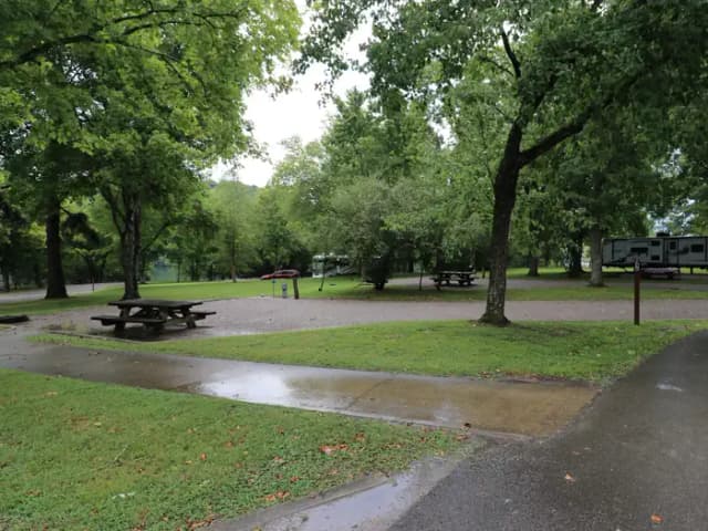 Site 146 Defeated Creek Campground