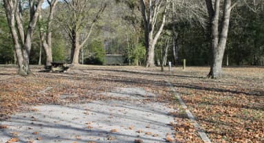 Site 149 Defeated Creek Campground