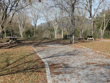 Site 150 Defeated Creek Campground