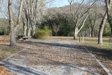 Site 151 Defeated Creek Campground
