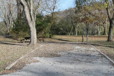 Site 153 Defeated Creek Campground