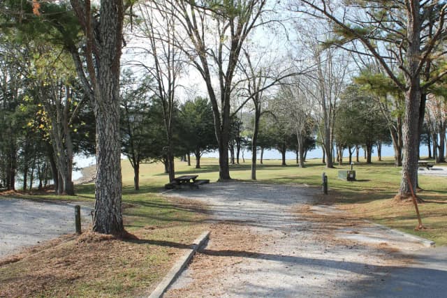 Campsite 68 Defeated Creek Campground