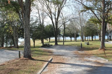 Campsite 68 Defeated Creek Campground