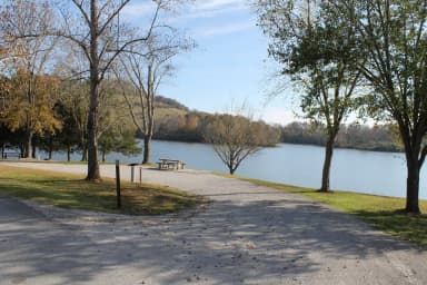 Campsite 73 Defeated Creek Campground
