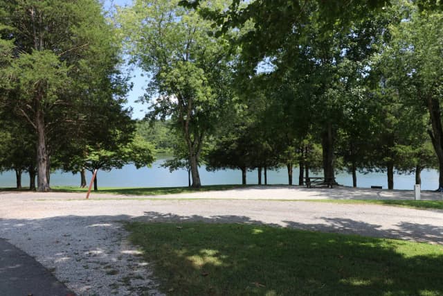 Campsite 73 Defeated Creek Campground