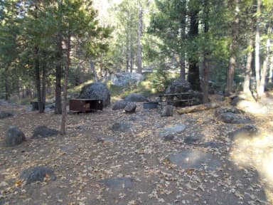Food locker, picnic table, and fire ring