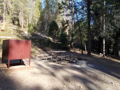 Food locker, picnic table, and fire ring