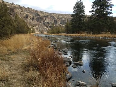 Crooked River at Poison Butte Campground