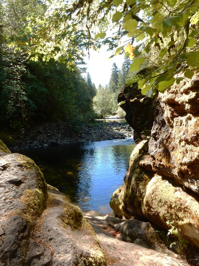 View of Sharps Creek