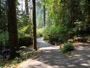 Loop road at Yellowbottom Recreation Site