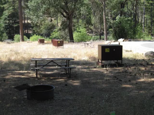 Food locker, picnic table, and fire ring