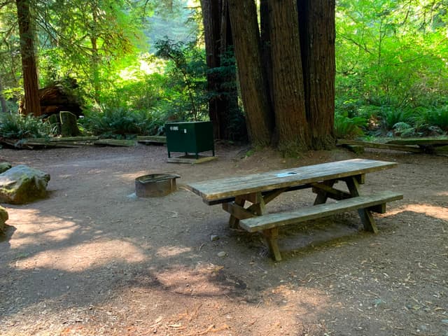 Mill Creek Campsite