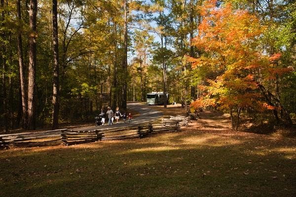 Jeff Busby Campground in Fall