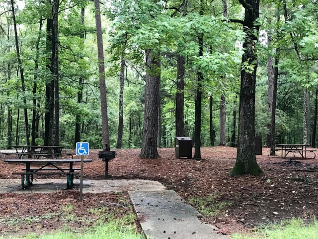 Accessible Campsite