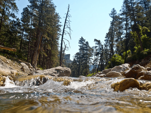 Black Canyon Stream