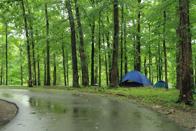 Tent camping at the Meriwether Lewis Death and Burial Site Campground