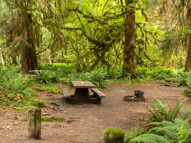 Hoh Campground 01
