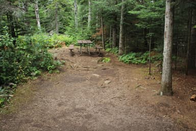 Daisy Farm Campground Test Site #18