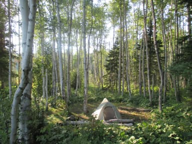 Lake Whittlesey Tent Site