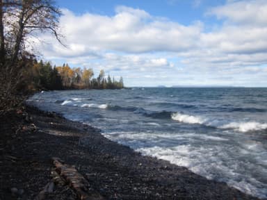 Little Todd Harbor Shoreline