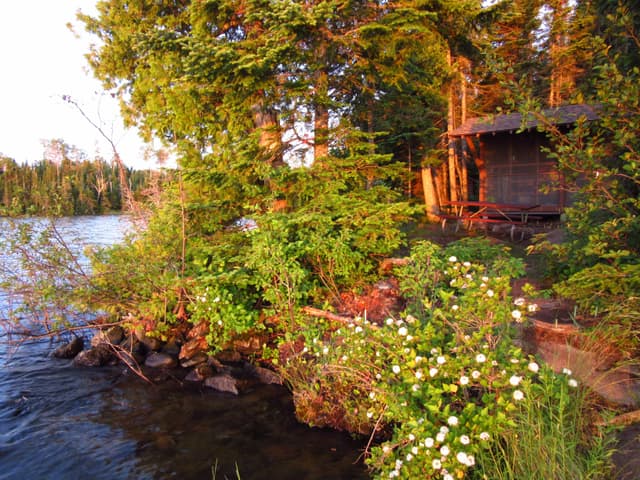 Moskey Basin Campground Shelter #7