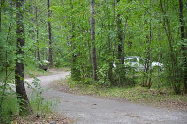Nestled in the trees